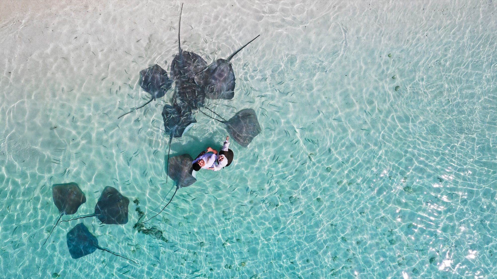 Vaavu Atoll Island Hopping: Nurse Sharks, Stingrays and a Shipwreck