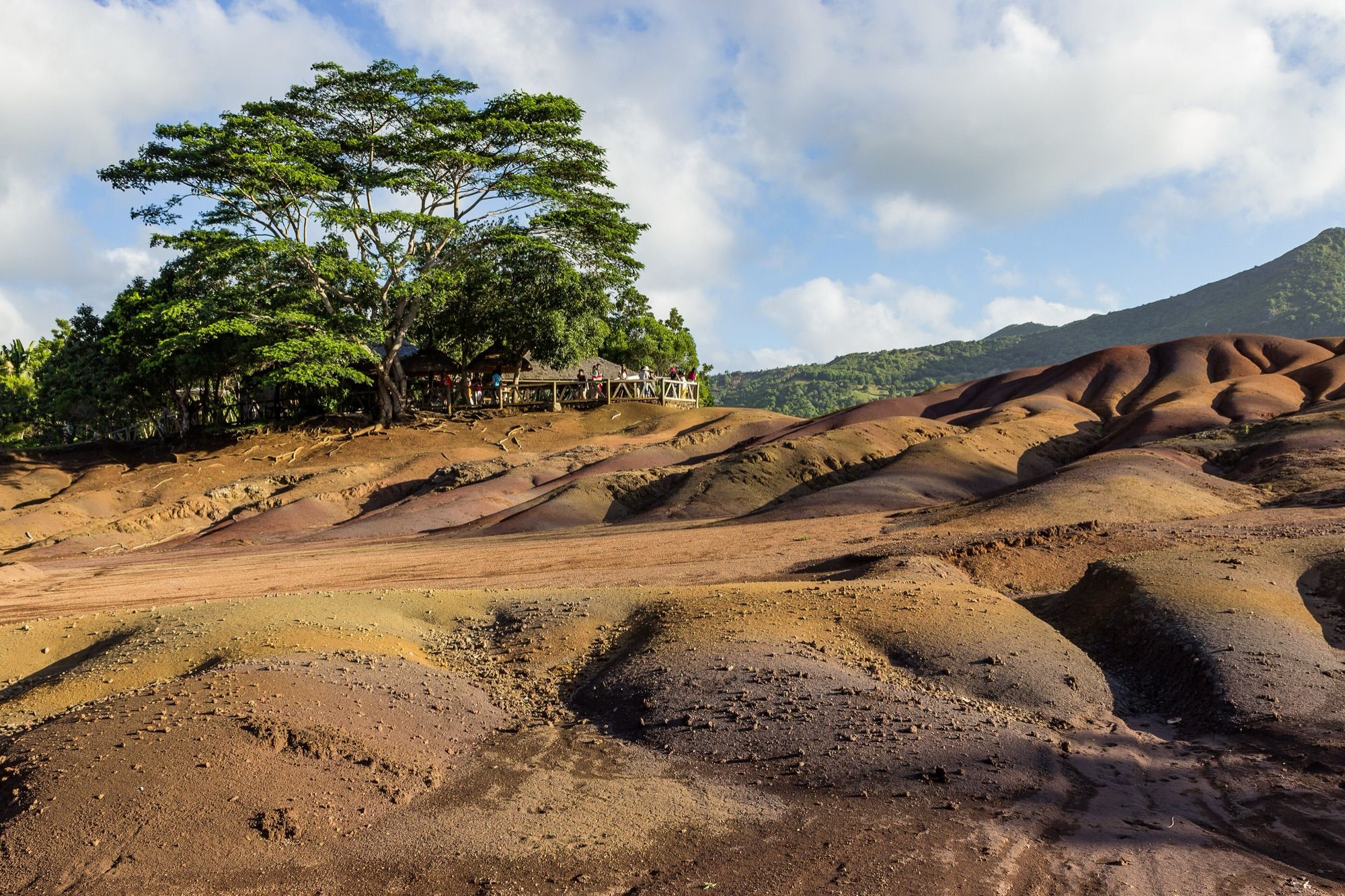 South-West Tour: Grand Bassin, Black River Gorges and Chamarel