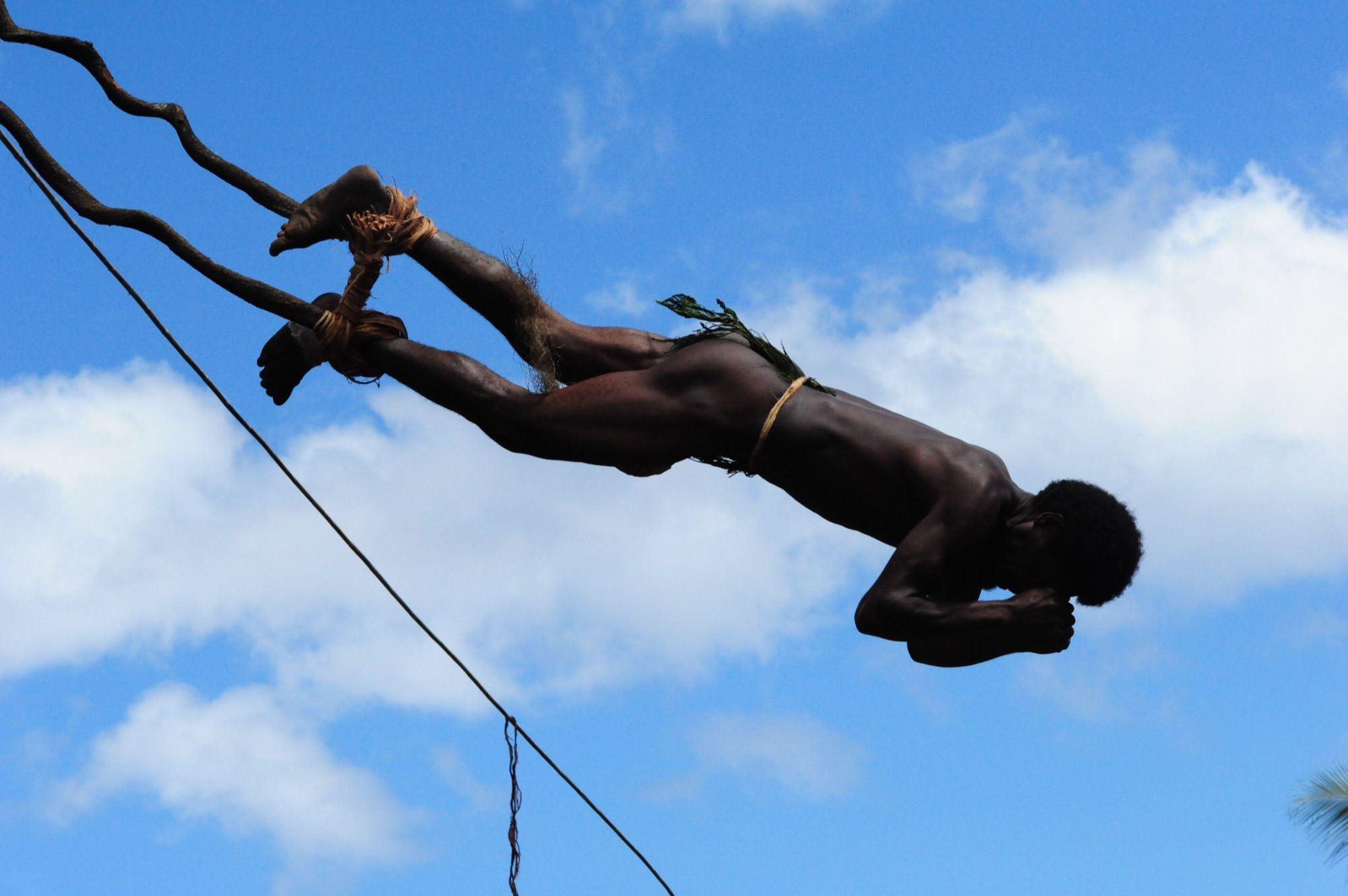Mid-air, held only by vines tied at the ankles