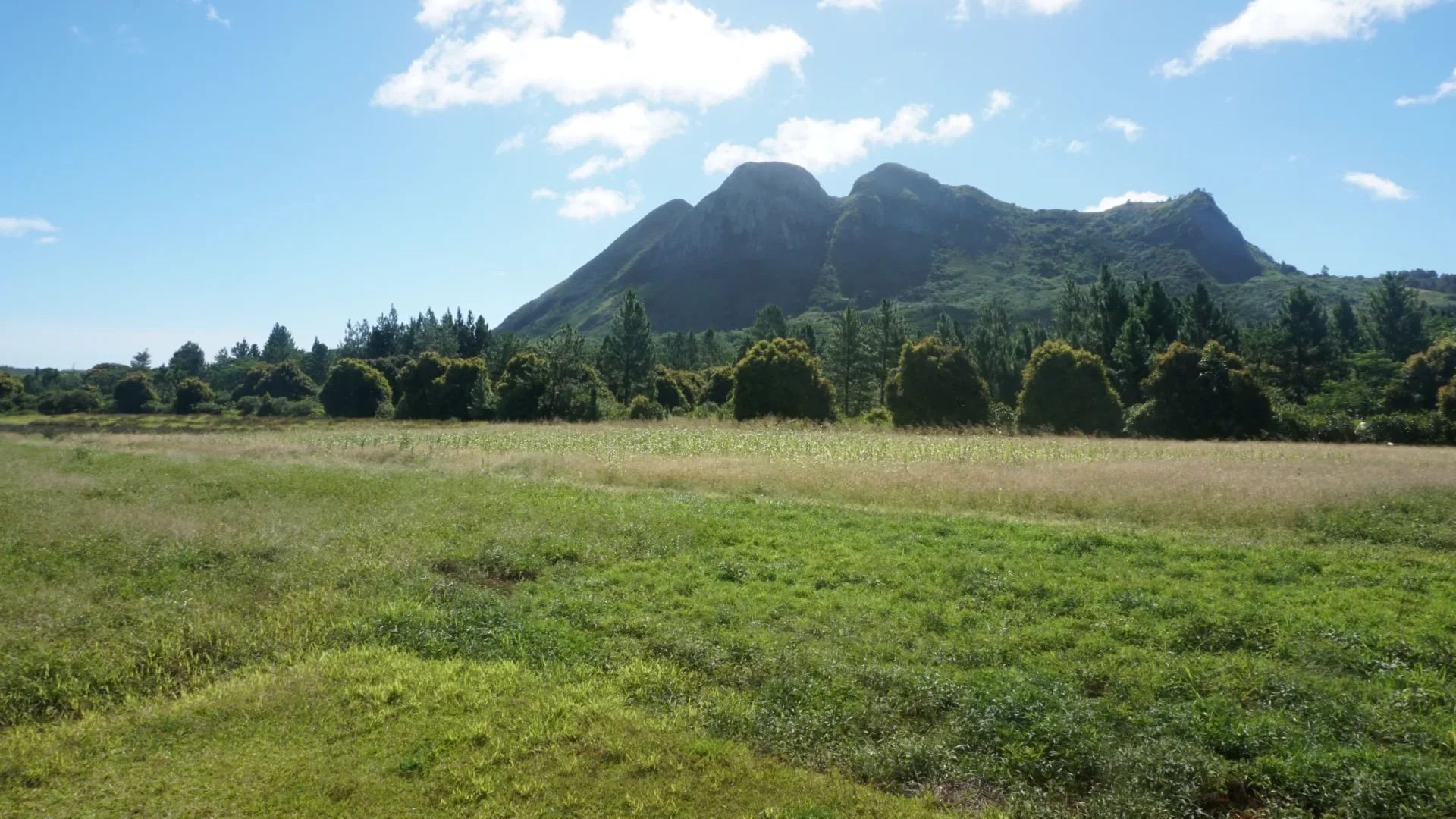 Mount Taita'a above open grassland